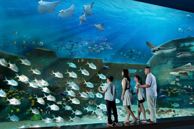 SEA Aquarium